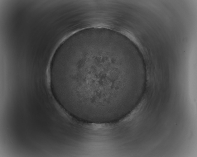 X0000089961032200706291226