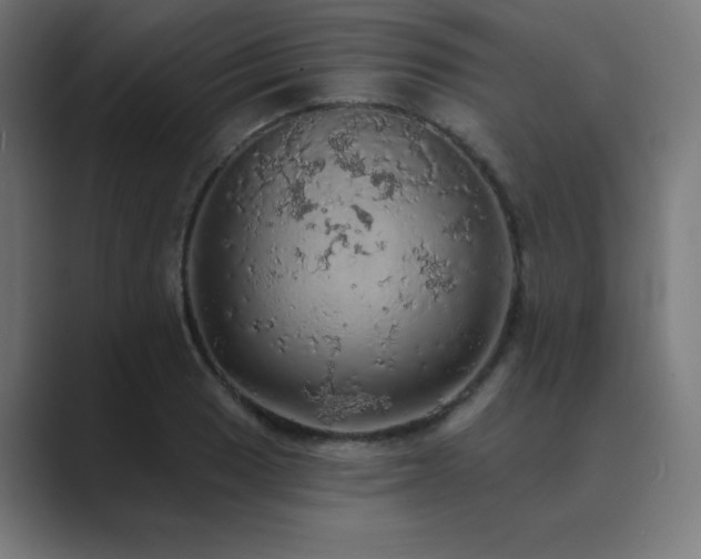 X0000089961033200706291226