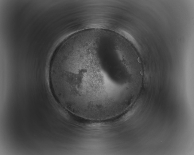 X0000089961035200706291226