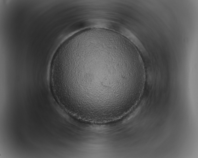 X0000089961036200706291226