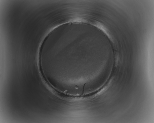X0000089961038200706291226