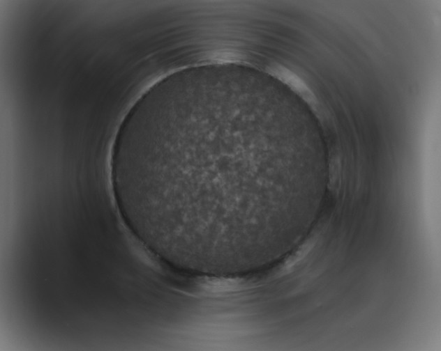 X0000089961039200706291226