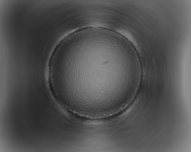 X0000089961040200706291226