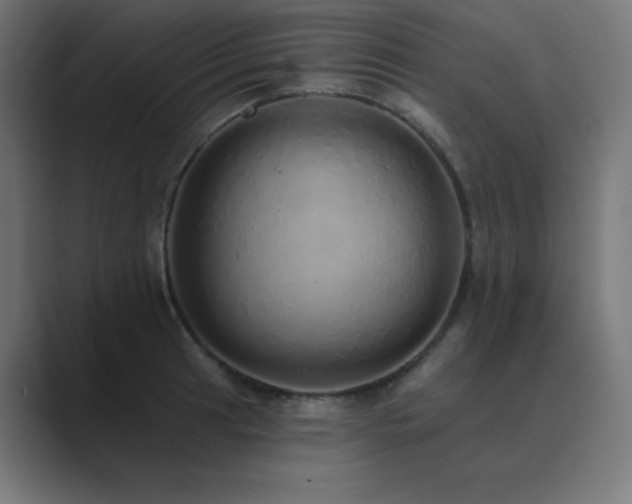 X0000089961041200706291226