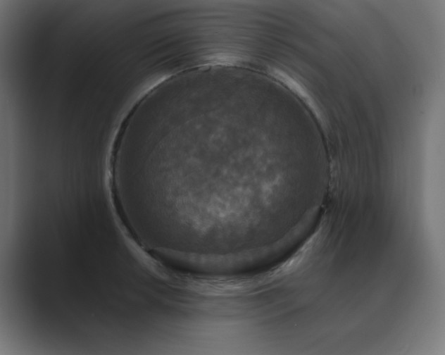 X0000089961042200706291226