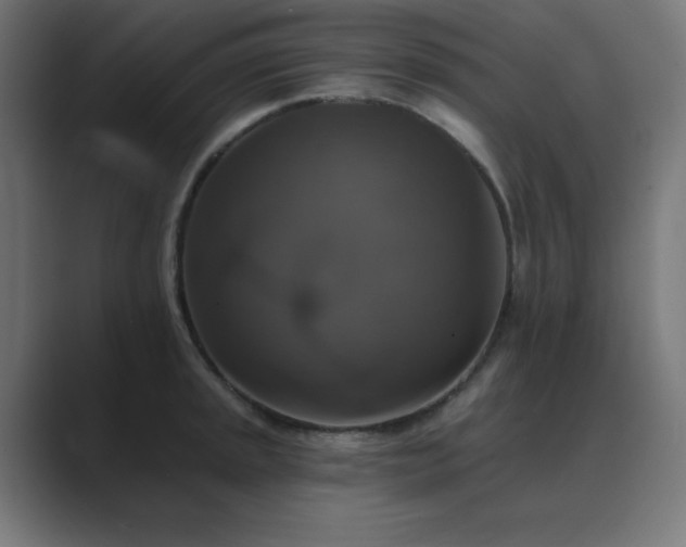 X0000089961045200706291226