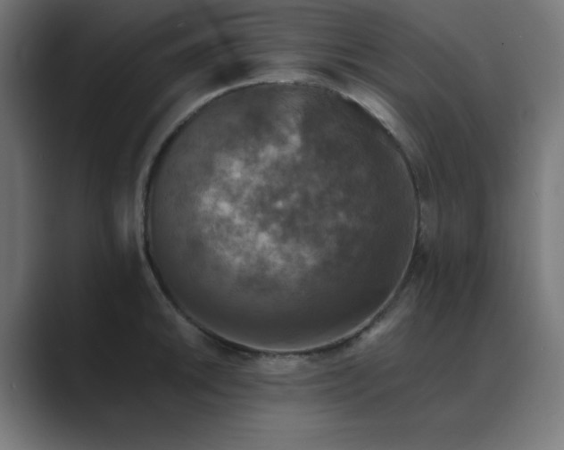 X0000089961046200706291226