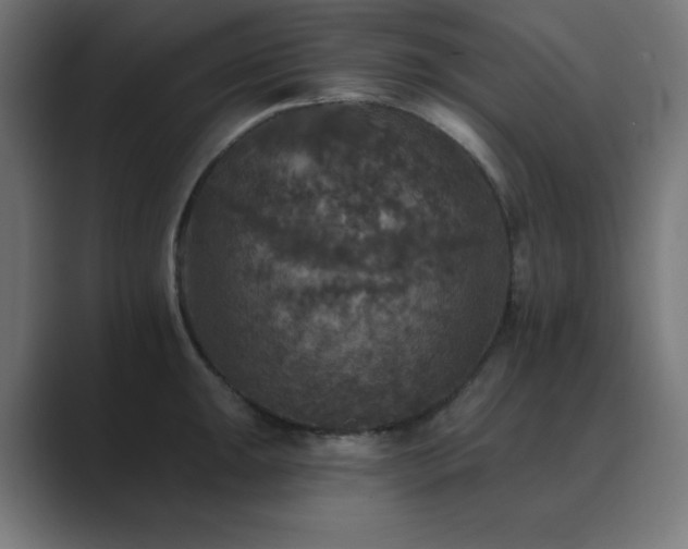 X0000089961047200706291226