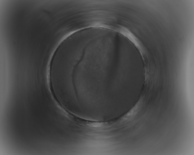 X0000089961048200706291226