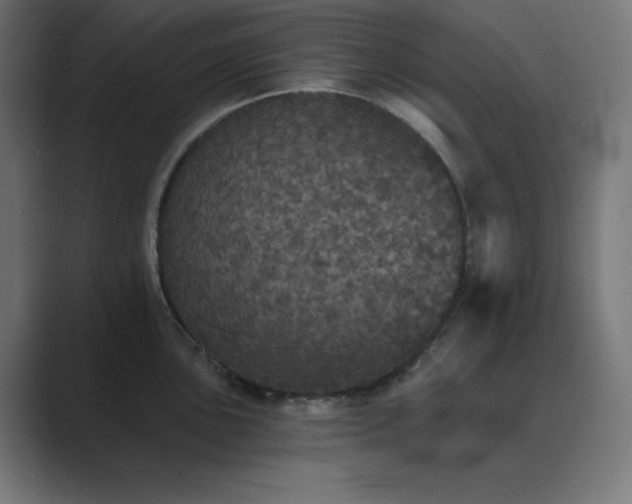 X0000089961051200706291226