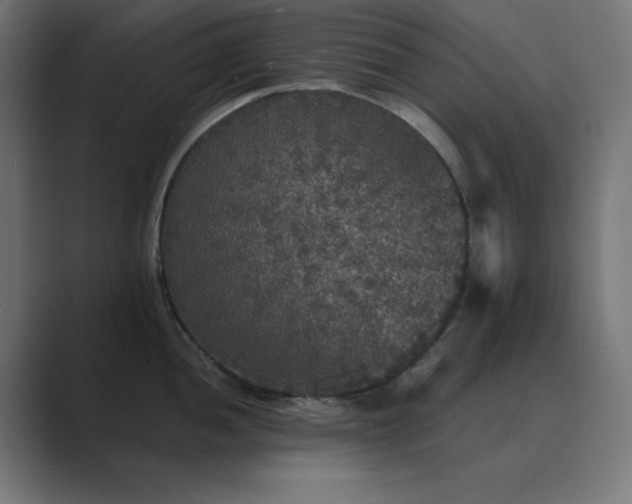 X0000089961052200706291226