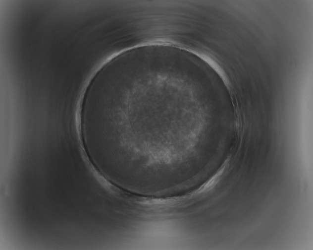 X0000089961054200706291226
