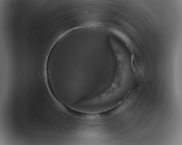 X0000089961055200706291226