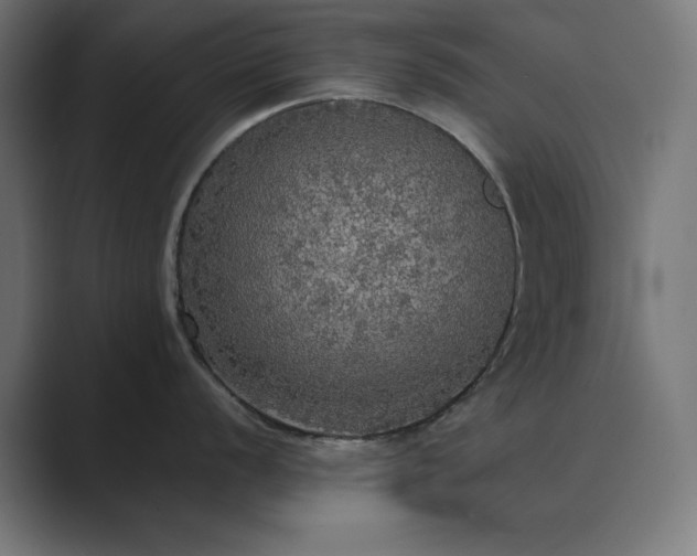 X0000089961056200706291226