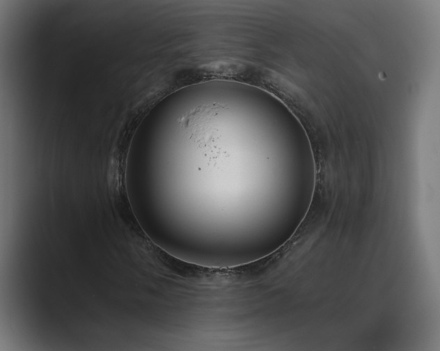X0000089961058200706291225