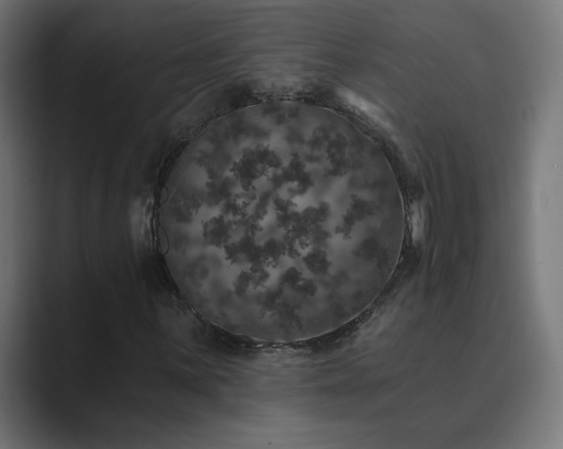X0000089961059200706291225