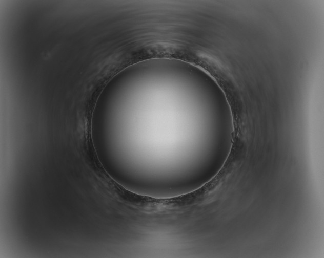 X0000089961061200706291225