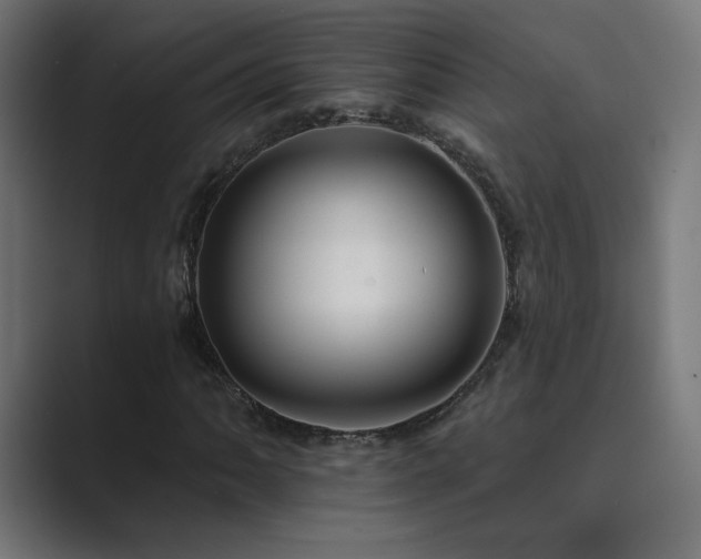 X0000089961062200706291225