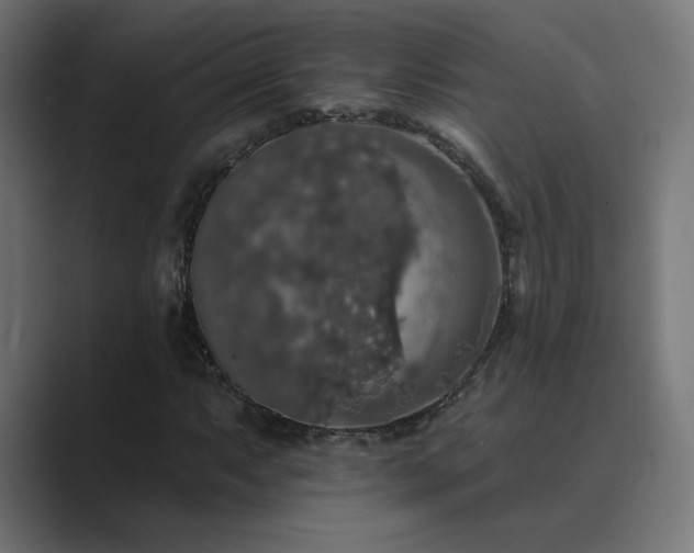 X0000089961063200706291225