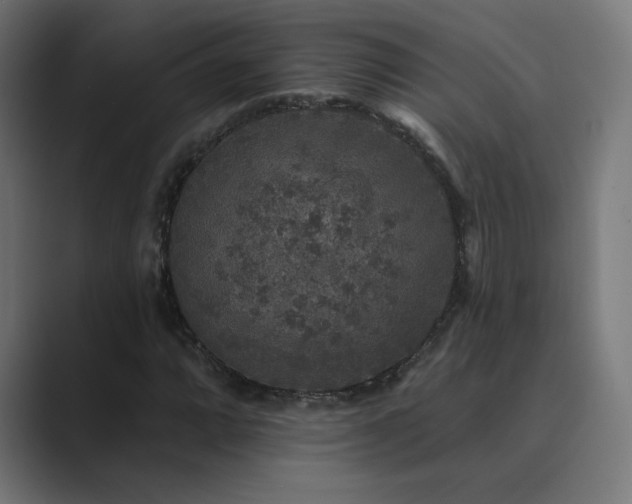 X0000089961064200706291225