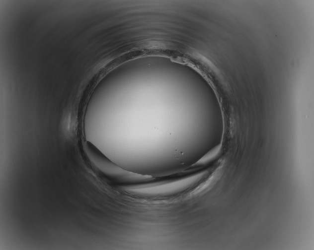 X0000089961065200706291225