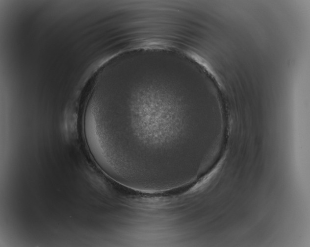X0000089961066200706291225