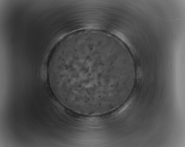 X0000089961067200706291225