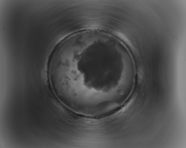 X0000089961071200706291225