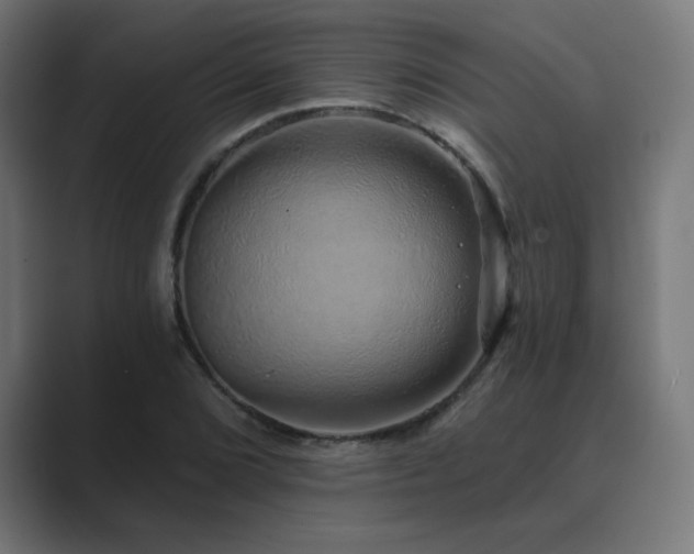 X0000089961072200706291225