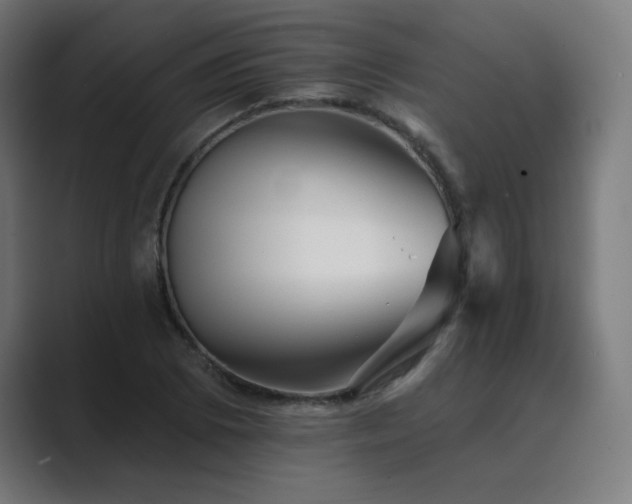 X0000089961073200706291225