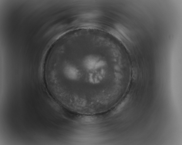 X0000089961074200706291225