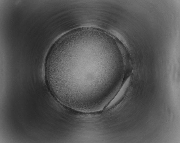 X0000089961076200706291225