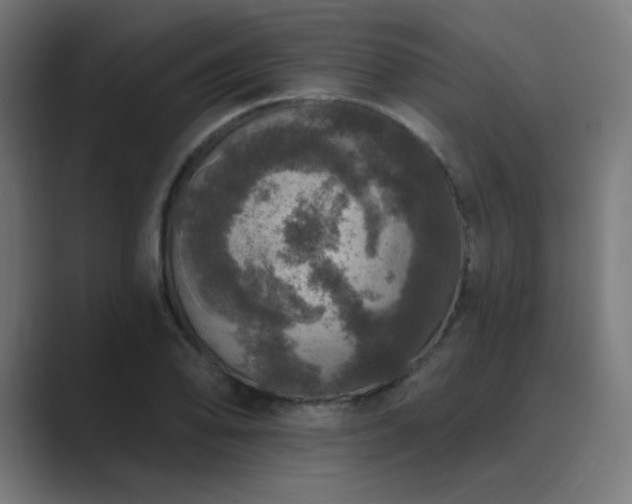 X0000089961078200706291225
