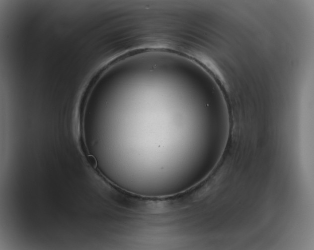 X0000089961080200706291225