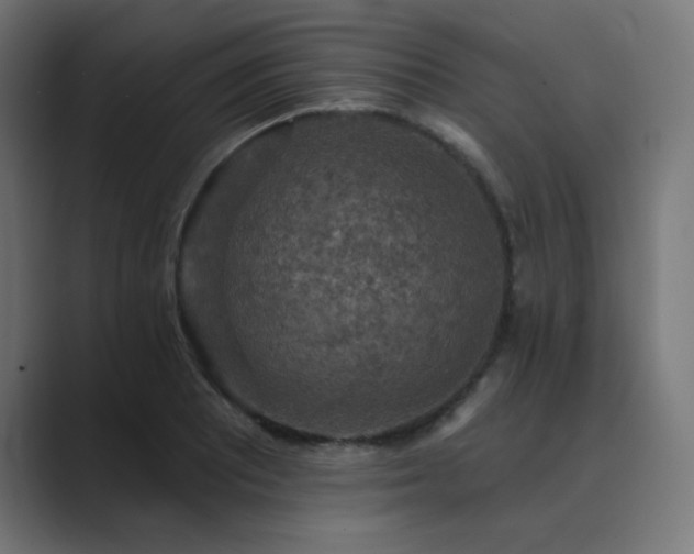 X0000089961081200706291225