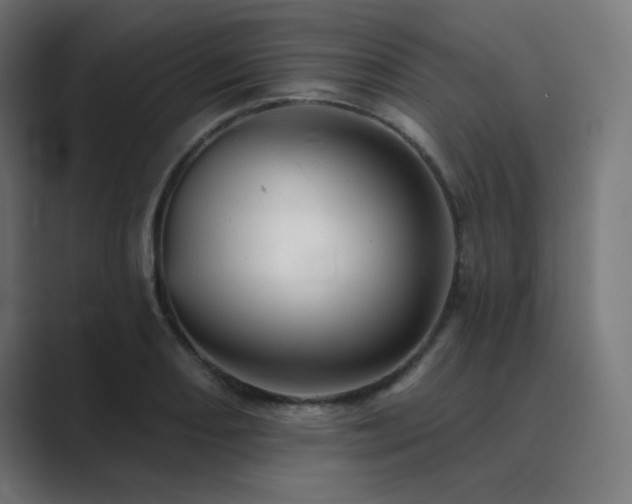 X0000089961082200706291225