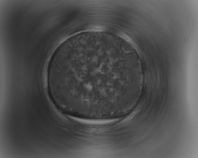 X0000089961083200706291225