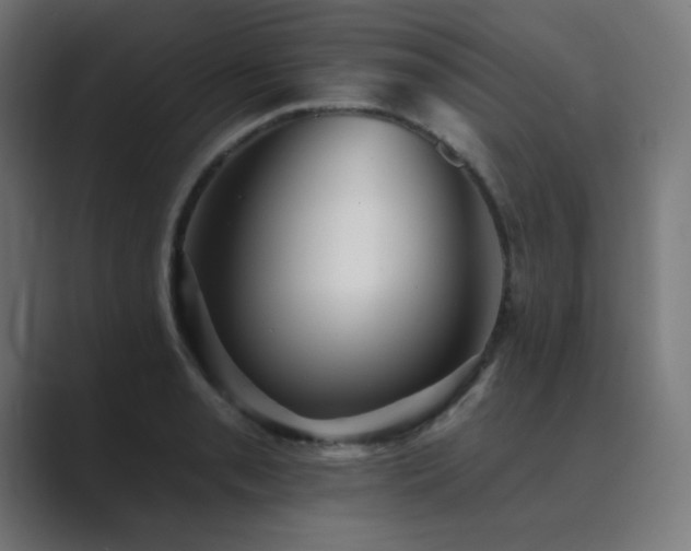 X0000089961085200706291225