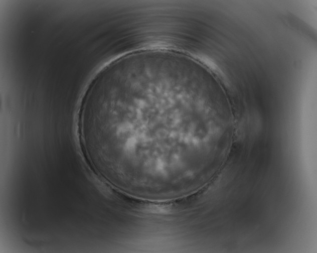 X0000089961086200706291225