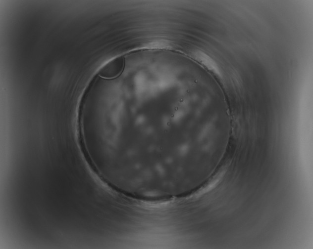 X0000089961087200706291225