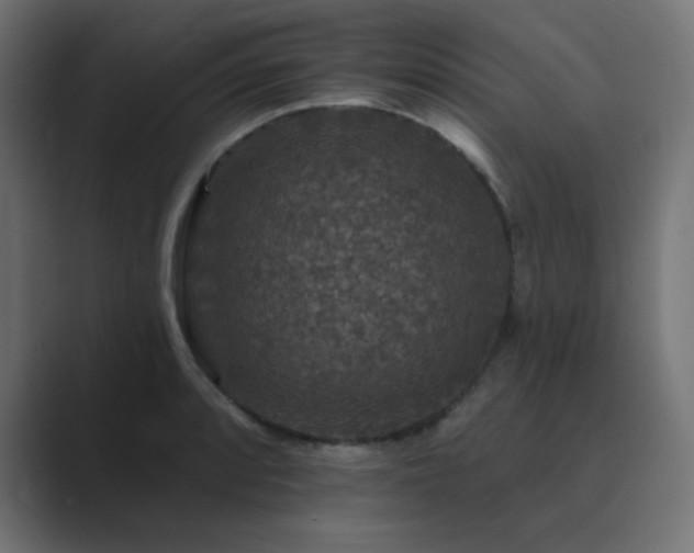 X0000089961088200706291225