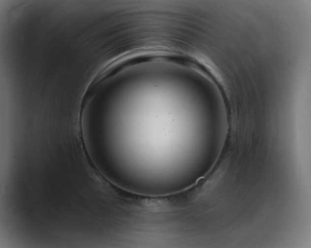 X0000089961089200706291225