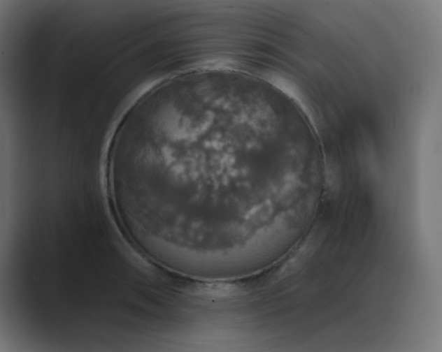 X0000089961090200706291225