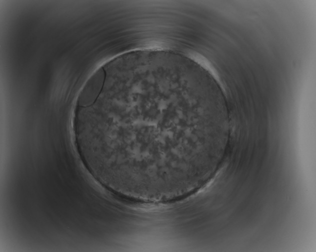 X0000089961091200706291225
