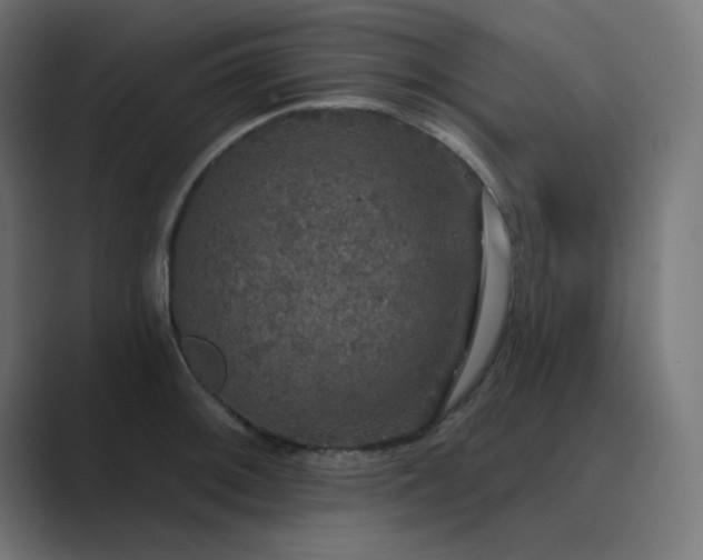 X0000089961092200706291225