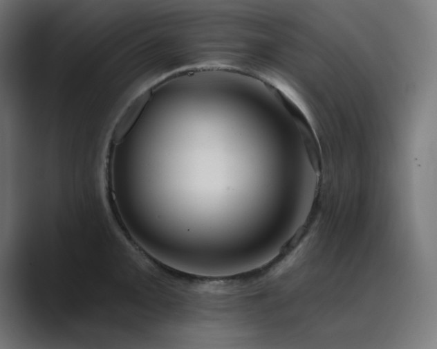 X0000089961093200706291225
