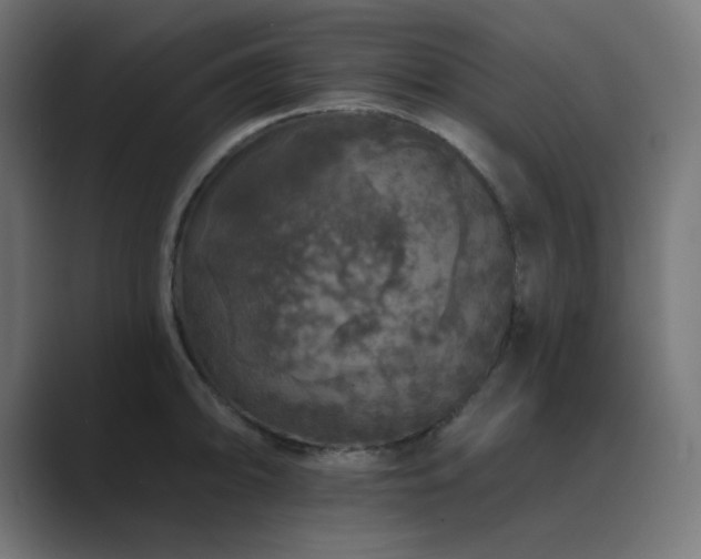 X0000089961094200706291225