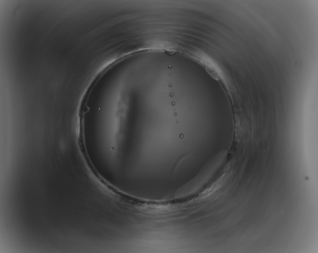 X0000089961095200706291225