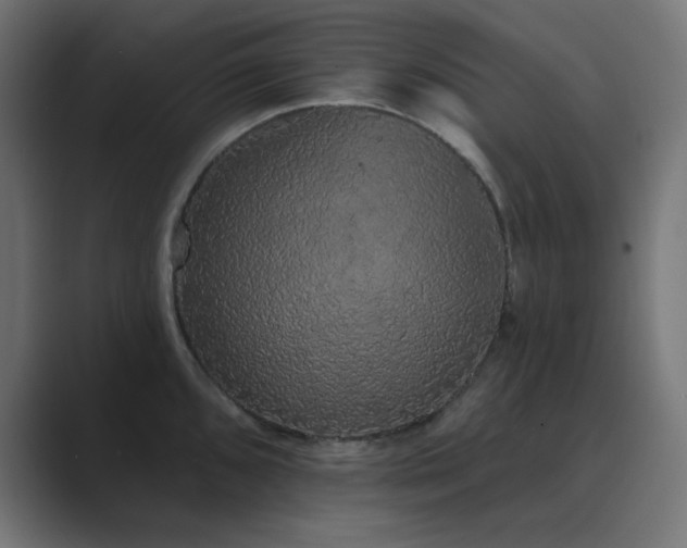 X0000089961096200706291225