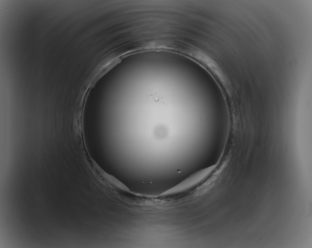 X0000089961097200706291225